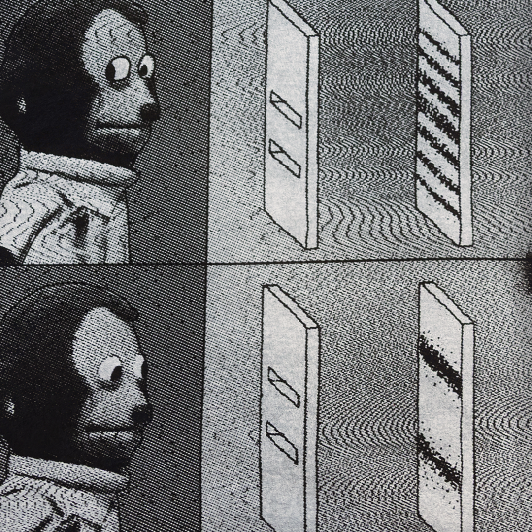 Close-up of the monkey and double-slit interference diagram print